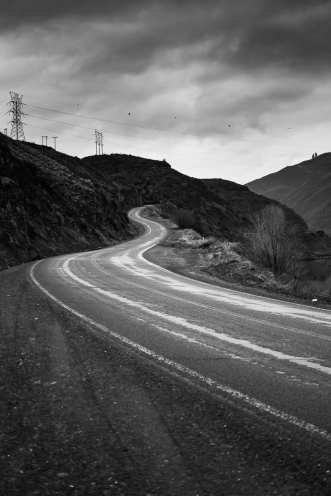 Weathered Wood (3 of 77)