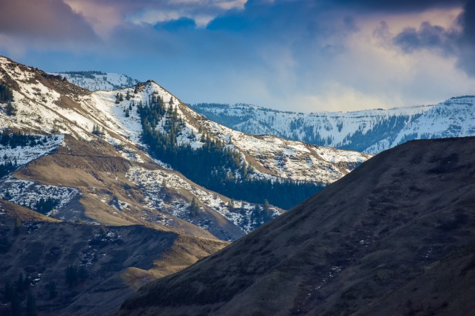 Weathered Wood (52 of 77)